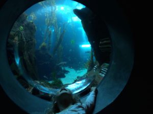 Things to do in LA with kids