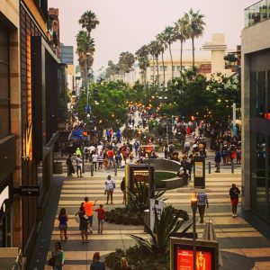 LA in a Day tour