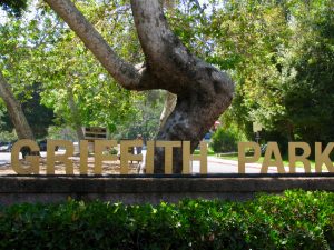 Griffith Park Hike