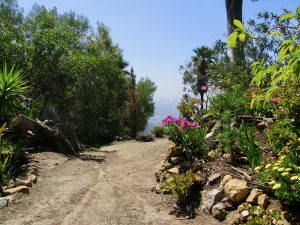 Mount Hollywood Hike