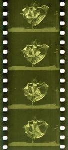 35mm print from Kinetoscope