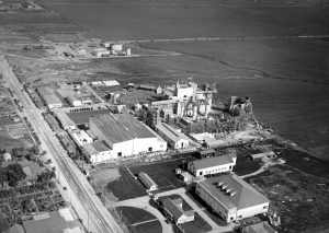 Set for Robin Hood on The Lot, Hollywood,Dream Factory 1921