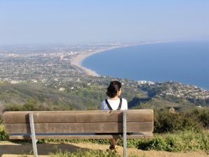 View of Santa Monica from Malibu Mountains