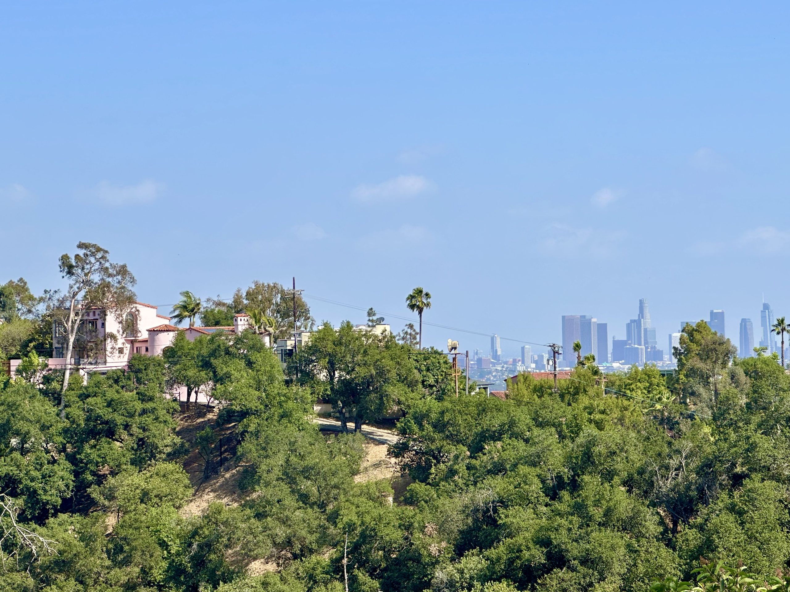 IMG_4808 Griffith Park: showing the natural state of LA