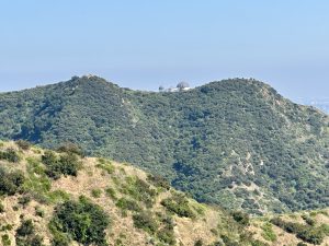 Best Things to Do in LA in April: Griffith Park