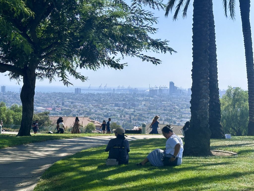 Long Beach, from Hilltop Park