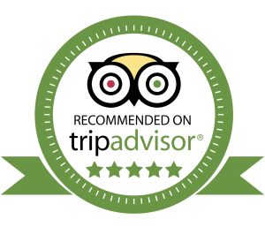 Los Angeles tours recommended on Tripadvisor